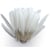 Graine Créative - Plumes d'indien pour activités enfant Blanches 15cm