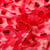 Tissu Tulle souple  Pois Big sur fond Rouge