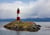Puzzle 500 pièces - Les Eclaireurs Lighthouse, Argentina - Bluebird Puzzle