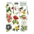 Planche de stickers couleur embelissement Fabrika Decoru BOTANY EXOTIC 210