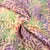 Tissu Viscose Batik Nuances arc-en-ciel sur fond Beige