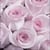Lot de 4 serviettes en papier découpage collage 33 cm ROSE VINTAGE FA 350