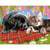 KSG - Tableau peinture au numéro Comme chien et chat
