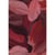 Plumes coupées camaieu rouge 10g 6cm