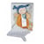 Doudou Cie POLLEN L'ABEILLE BIO Pantin attache sucette - Doudou et Compagnie