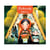 Jeu d'ambiance Redwoods - Djeco
