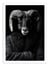 Affiche 50 x 70 cm -  Ram Wild Suits - Philippe Hugonnard