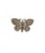 Ecussons Thermocollant Papillon Crochet 3 X 5 cm - Mediac Marron