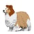 Shetland Sheepdog 02S-M01 Taille standard | JEKCA | 14 ans et +