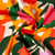 Tissu Viscose imprimé Arty Fleuris Bigflo sur fond Ecru