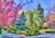 Puzzle 500 pièces - Forêt Colorée, Colorado, USA - Grafika