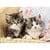 Puzzle 2 chatons 100 pieces - collection animaux - nathan - 86766