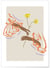 Affiche Une fleur | A3 : 29,7x42cm