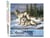 Peinture par Numéro Figured'Art - Couple de loups - Kit de Loisir Créatif DIY Numéro d'Art Complet - 40x50cm sans châssis en bois