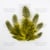 Plumes embelissement décoration scrapbooking Fabrika Décoru JAUNE 018