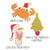 Tampons transparents et dies de découpe Thinlits - Personnages de Noël - 6 pièces - Sizzix