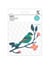 Die Xcut - oiseau sur une branche