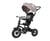 Tricycle Rito Air Grey - QPlay