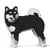 Chien Shiba qui tourne la tête noir Taille standard | JEKCA | 14 ans et +