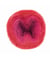 Fil à tricoter ESSENTIALS SUPER KID MOHAIR COLOUR LOVE - Rico Design 04 Rouge