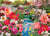 Puzzle 1000 pièces - Jardin Japonais - Cobble Hill