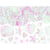Confettis Coquillage - Océan Iridescent
