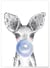 Affiche Bulle de Kangourou Bleue | A3 : 29,7x42cm