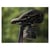 DJI Support de siège vélo pour OSMO Action