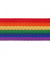 Sangle en polyester pour sac ou ceinture 30mm - Prym Multicolore