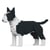Chien Bull Terrier noir Taille standard | JEKCA | 14 ans et +