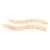 Rails – Crazy Track Rails flexible en bois - Bigjigs Toys