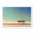 Affiche 30x40 cm - The Bench - Arnaud  BRATKOVIC