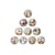 10 cabochons rond en verre assorties 25 mm MONUMENT FLEUR PAPILLON