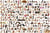 Puzzle 2000 pièces - Chiens - Eurographics