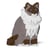 Chat Ragdoll gris foncé assis | JEKCA | 14 ans et +