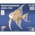 Quay - Maquette en bois Poisson (scalaire)