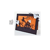 Set de 6 dies Halloween