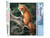 Peinture par Numéro Figured'Art - Renard dans les Fougères - Kit de Loisir Créatif DIY Numéro d'Art Complet - 40x50cm sans châssis en bois