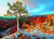 Puzzle 1000 pièces - Lever de Soleil Hivernal - Eurographics