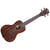 Striped Ebony Concert + Housse Kala