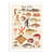 Affiche 30x40 cm - Sea life collection - Gal Design