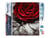 Diamond Painting Broderie Diamant Figured’Art 40x50cm toile entière roulée avec diamants carrés - Rose Rouge