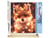 Peinture par Numéro Figured'Art - Petit renard et guirlande éclairée - Kit de Loisir Créatif DIY Numéro d'Art Complet - 40x50cm toile roulée + châssis en bois à monter