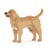 Chien Labrador Retriever beige Taille standard | JEKCA | 14 ans et +