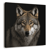 Tableau sur toile portrait loup 45x45 cm