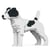 Chien Jack Russell Terrier taches noires Taille standard | JEKCA | 14 ans et +