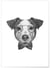 Poster Jack Russell | A3 : 29,7x42cm