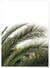Poster Nature verte n°3 | A3 : 29,7x42cm