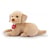 peluche Labrador Liam 22873 - Trudi