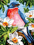 Canevas Margot Plume de Printemps 40x50 cm